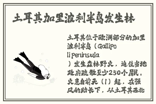 在线极速中文字幕